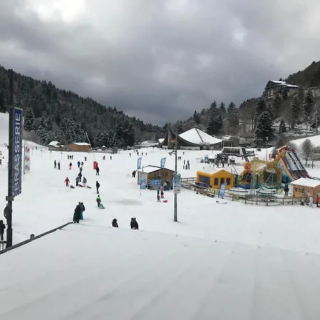 Apartment Le Saporta- Et Meubles De Tourisme Le Lioran