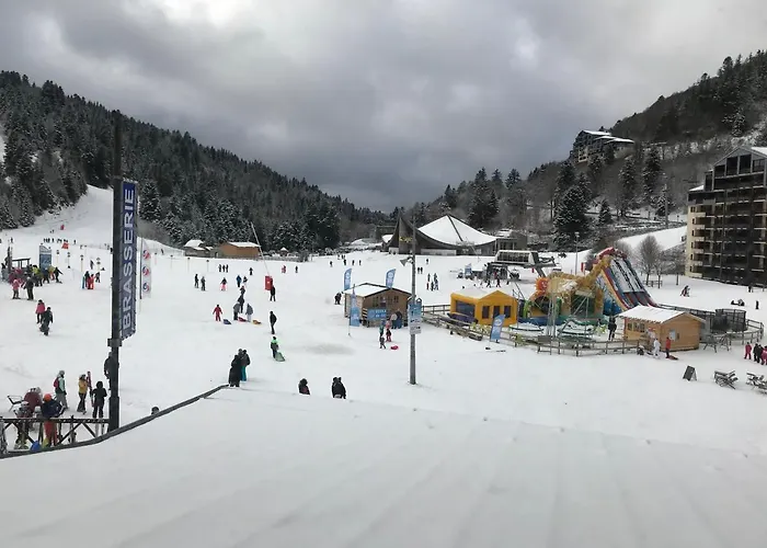 Apartment Le Saporta- Et Meubles De Tourisme Le Lioran