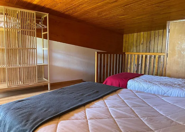 Le Saporta- Et Meubles De Tourisme * Le Lioran