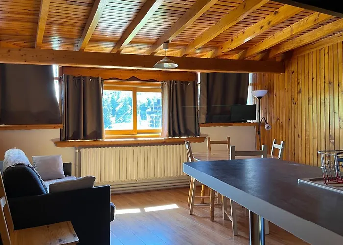 Le Saporta- Et Meubles De Tourisme Apartment Le Lioran