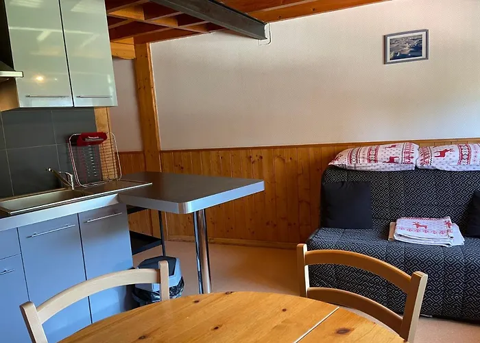 Le Saporta- Et Meubles De Tourisme * Le Lioran