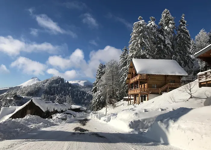 Le Saporta- Et Meubles De Tourisme * Le Lioran