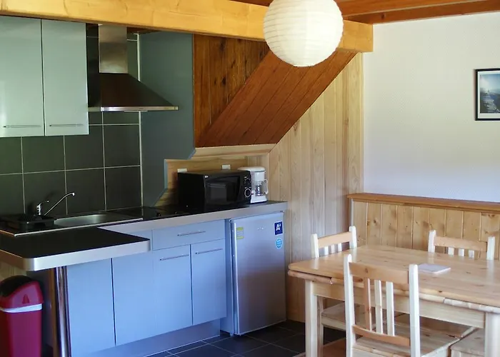 Apartment Le Saporta- Et Meubles De Tourisme Le Lioran